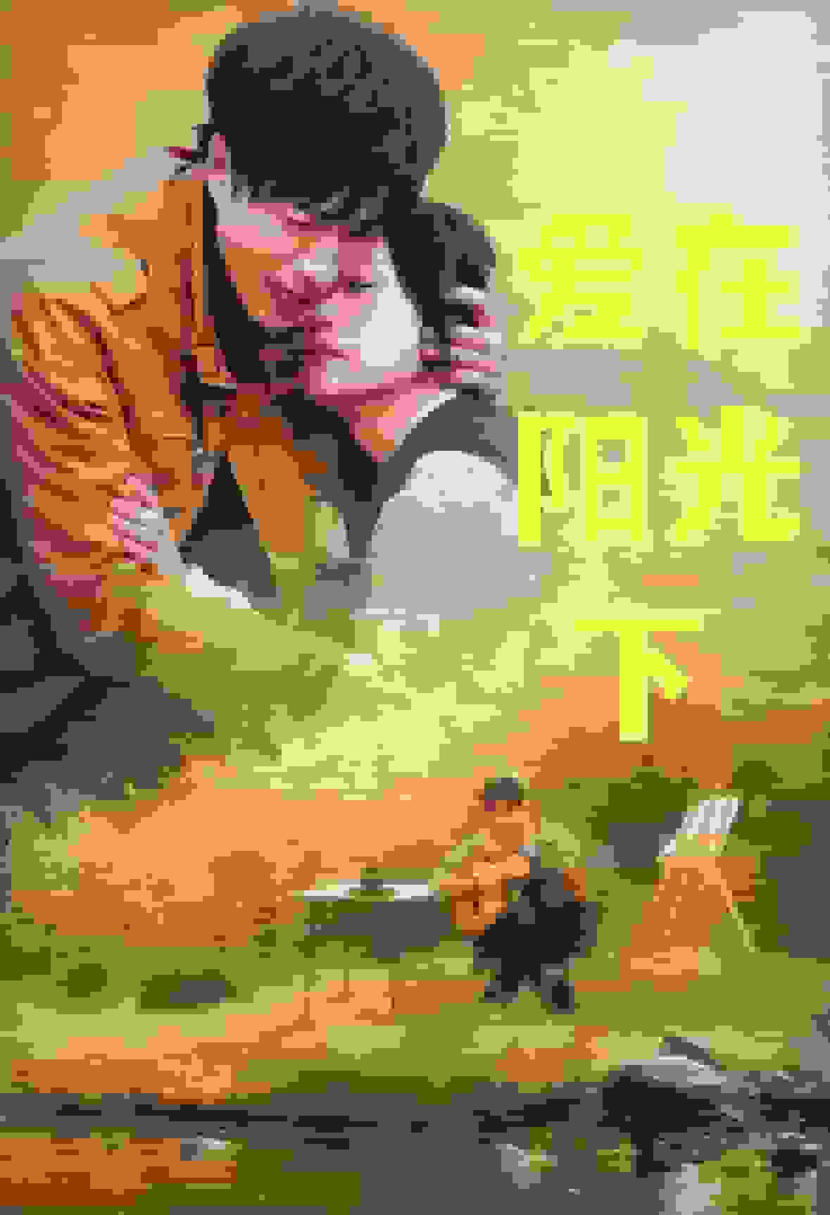 爱在阳光下封面图