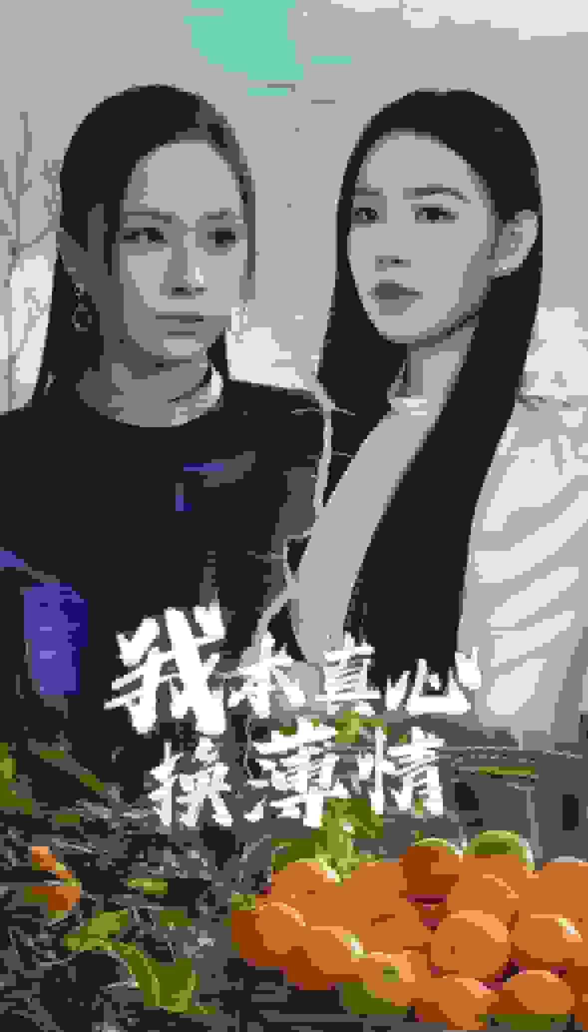 我本真心换薄情封面图