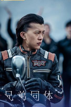 兄弟同体封面图