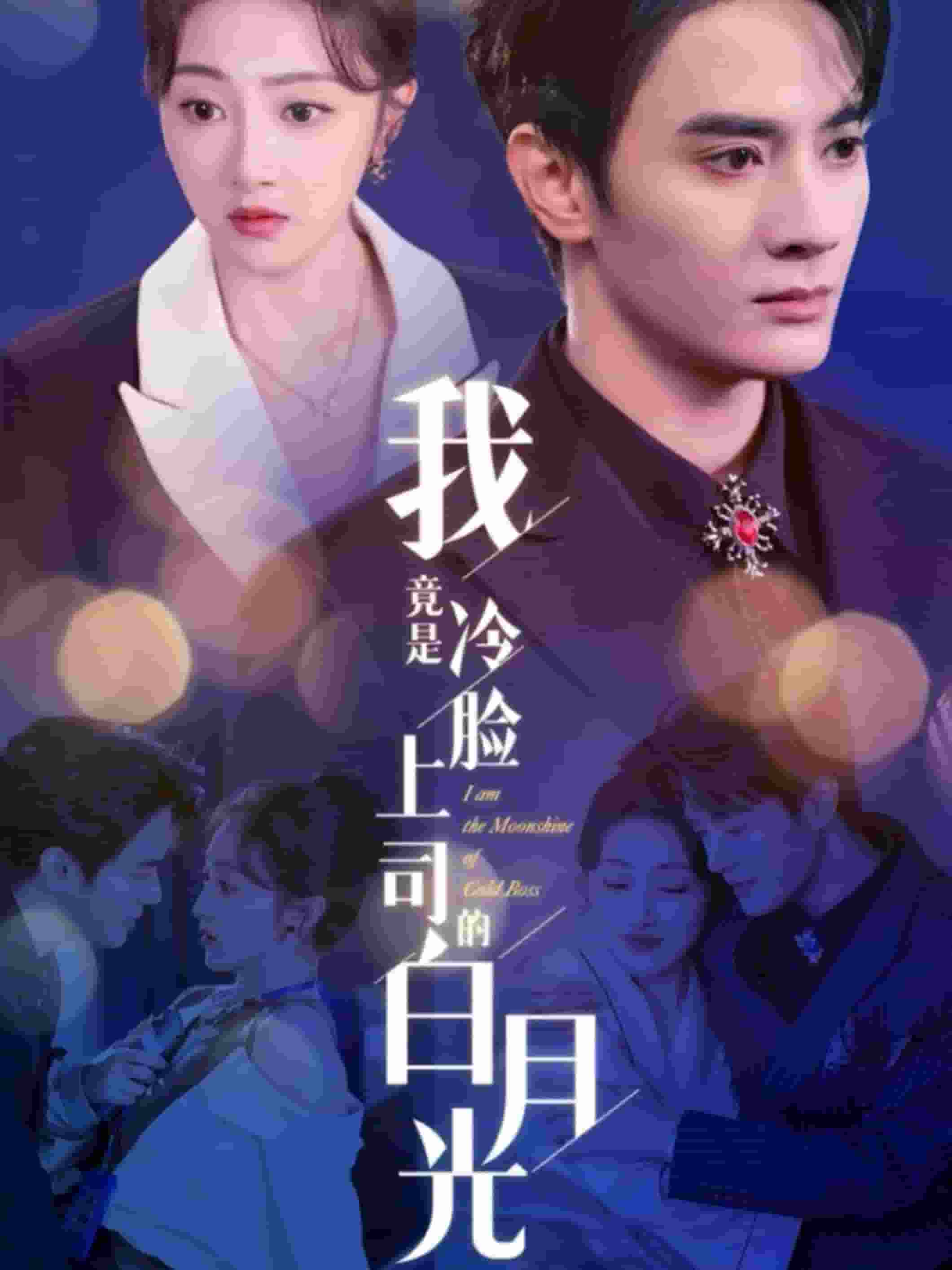 我竟是冷脸上司的白月光