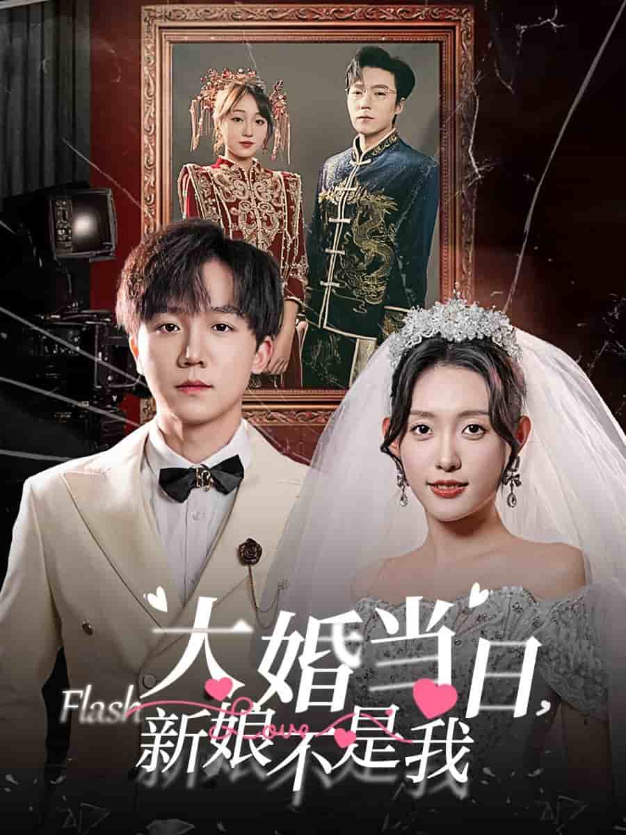 大婚当日新娘不是我封面图