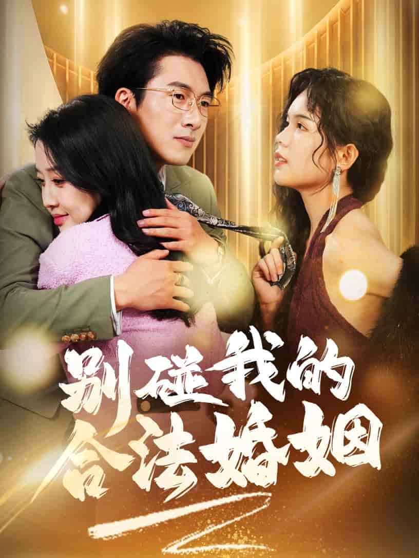 别碰我的合法婚姻封面图