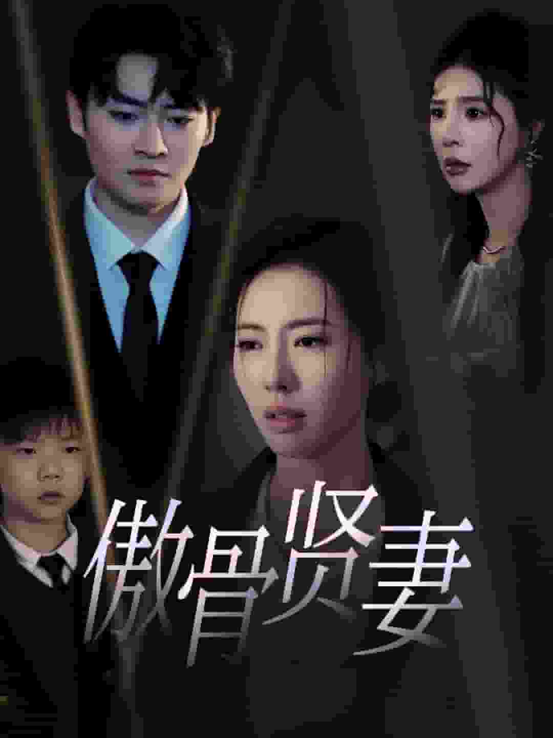 傲骨贤妻封面图