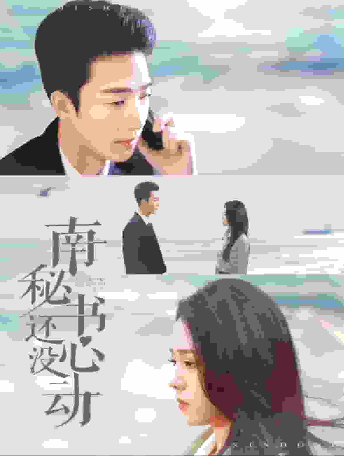 南秘书还没心动封面图