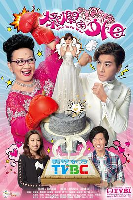 灿烂的外母国语封面图