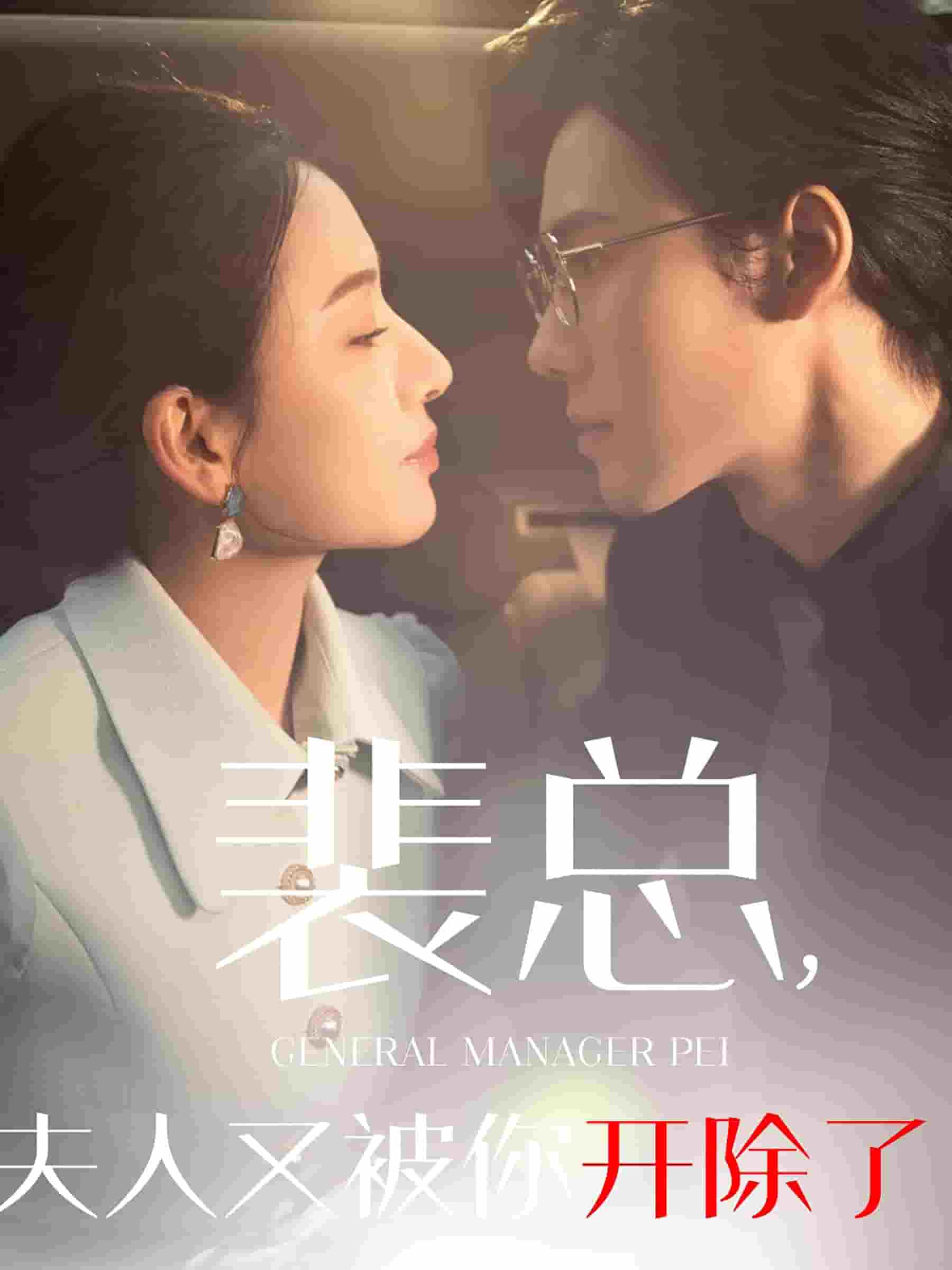 裴总夫人又被你开除了封面图