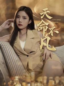 天命不凡封面图