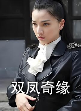 双凤奇缘封面图