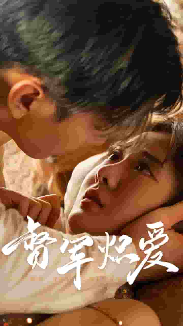 督军炽爱封面图