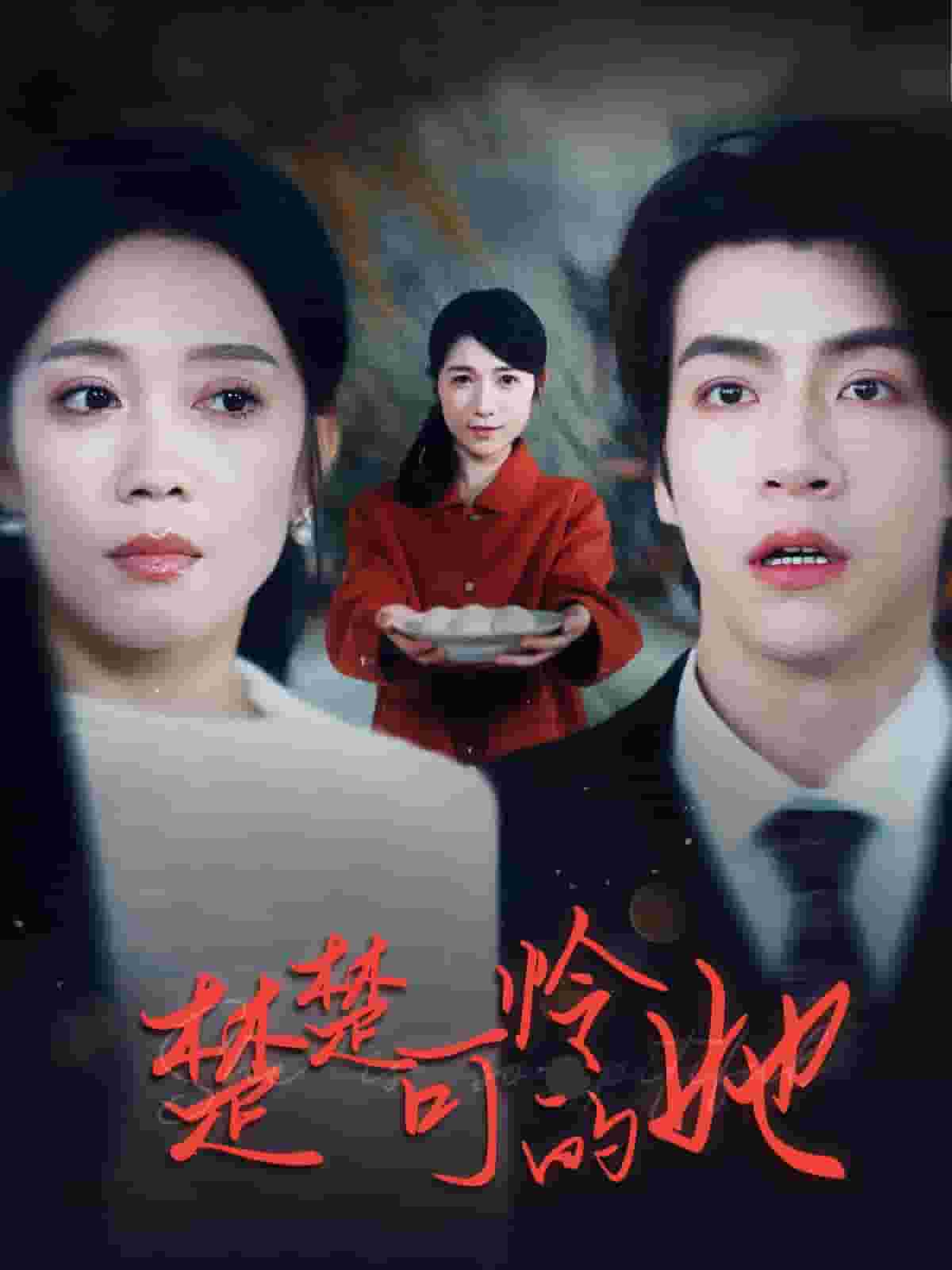 楚楚可怜的她封面图