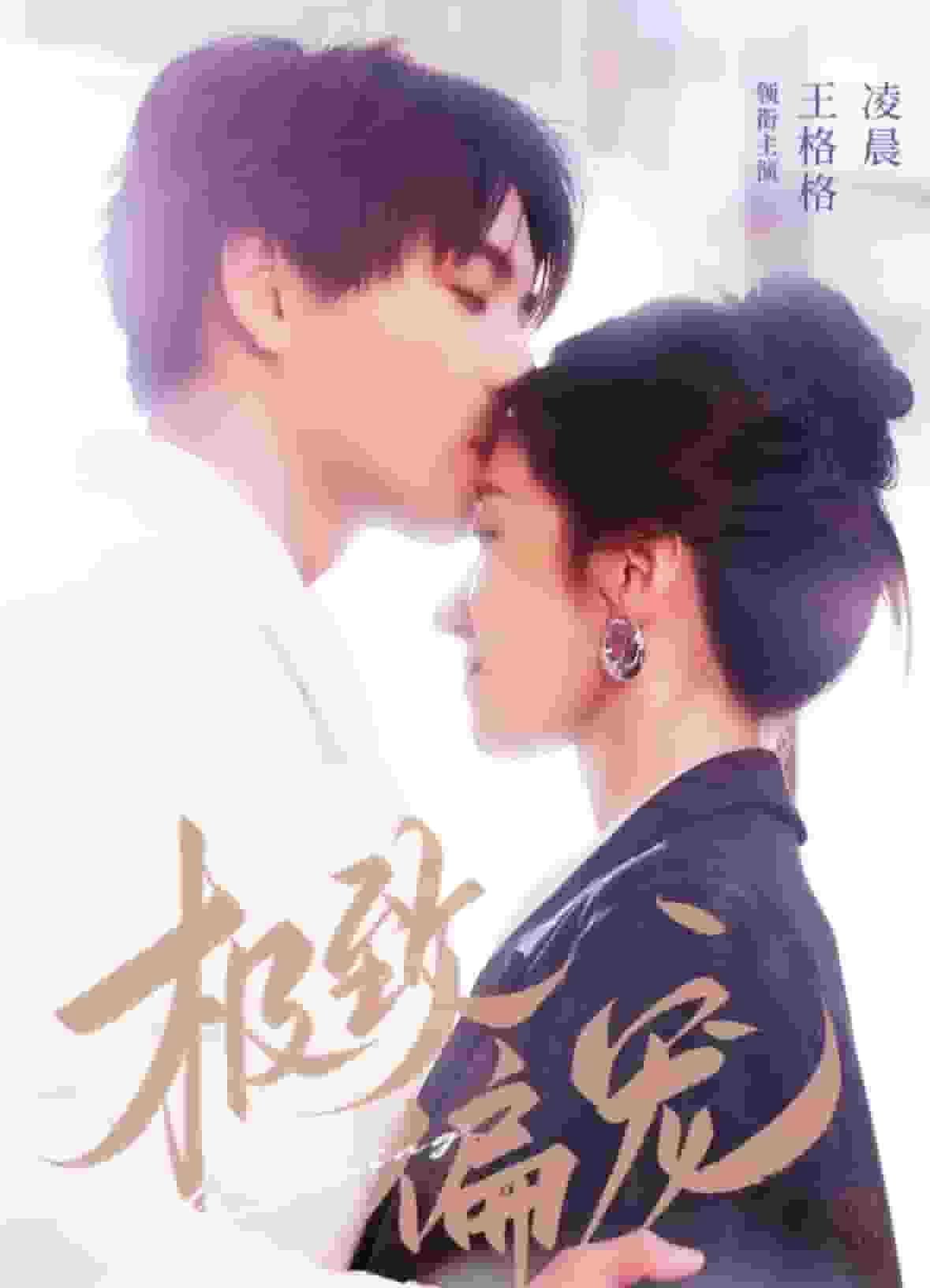 极致偏宠封面图