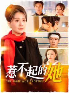 惹不起的她封面图