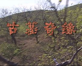 古墓奇缘封面图