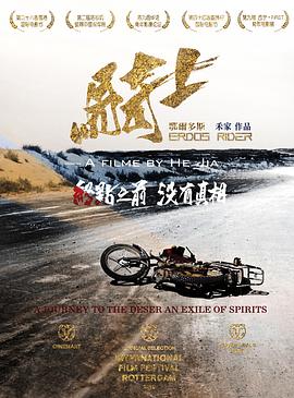 鄂尔多斯骑士封面图