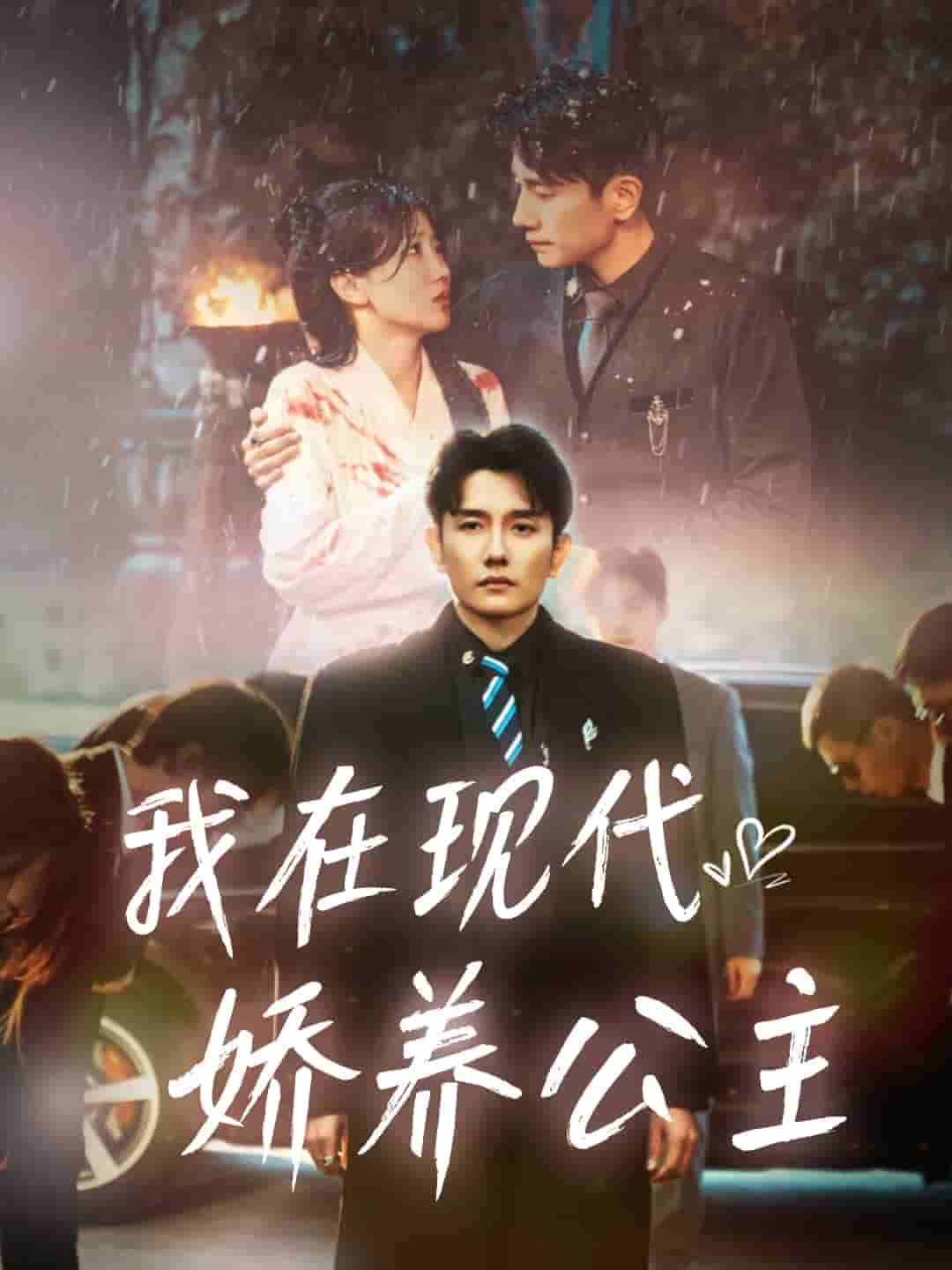 我在现代娇养公主封面图