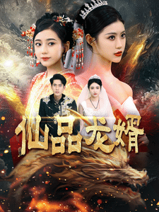仙品龙婿封面图