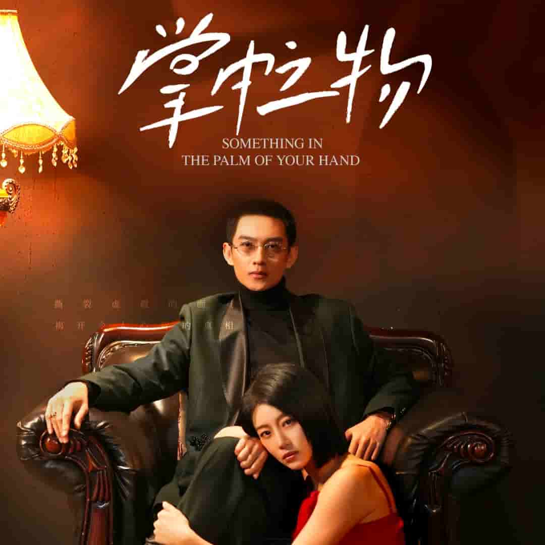 掌中之物封面图