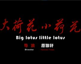 大荷花小荷花封面图