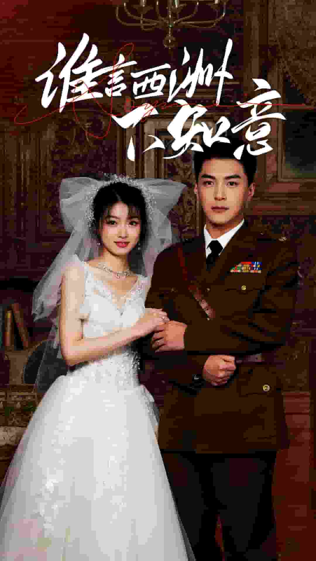 谁言西洲不知意封面图