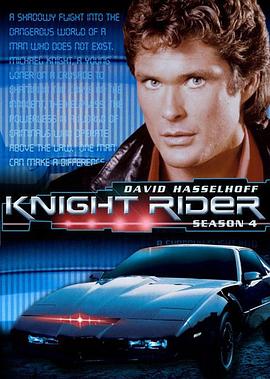 霹雳游侠第四季封面图