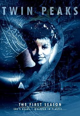 双峰第一季封面图