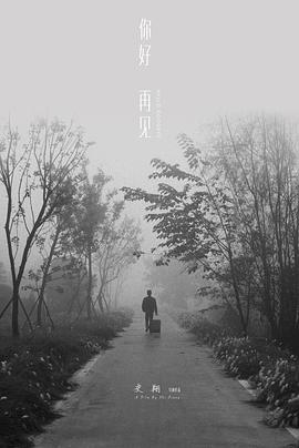 你好 再见封面图