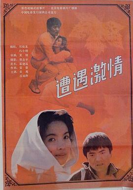 遭遇激情封面图