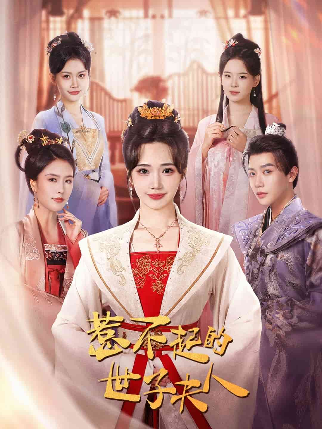 惹不起的世子夫人封面图