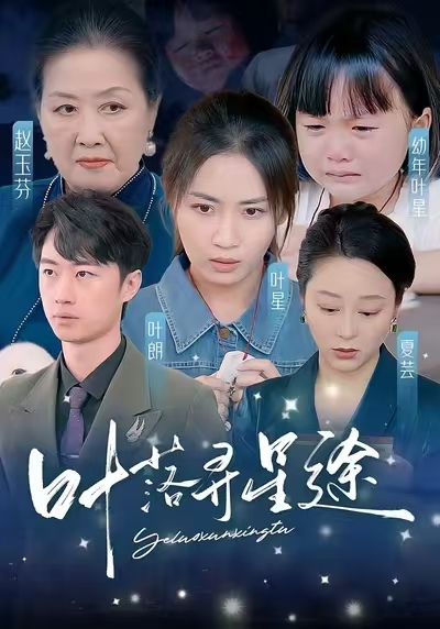 叶落寻星途封面图