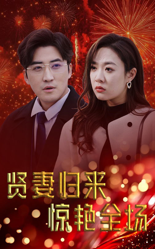 贤妻归来惊艳全场封面图