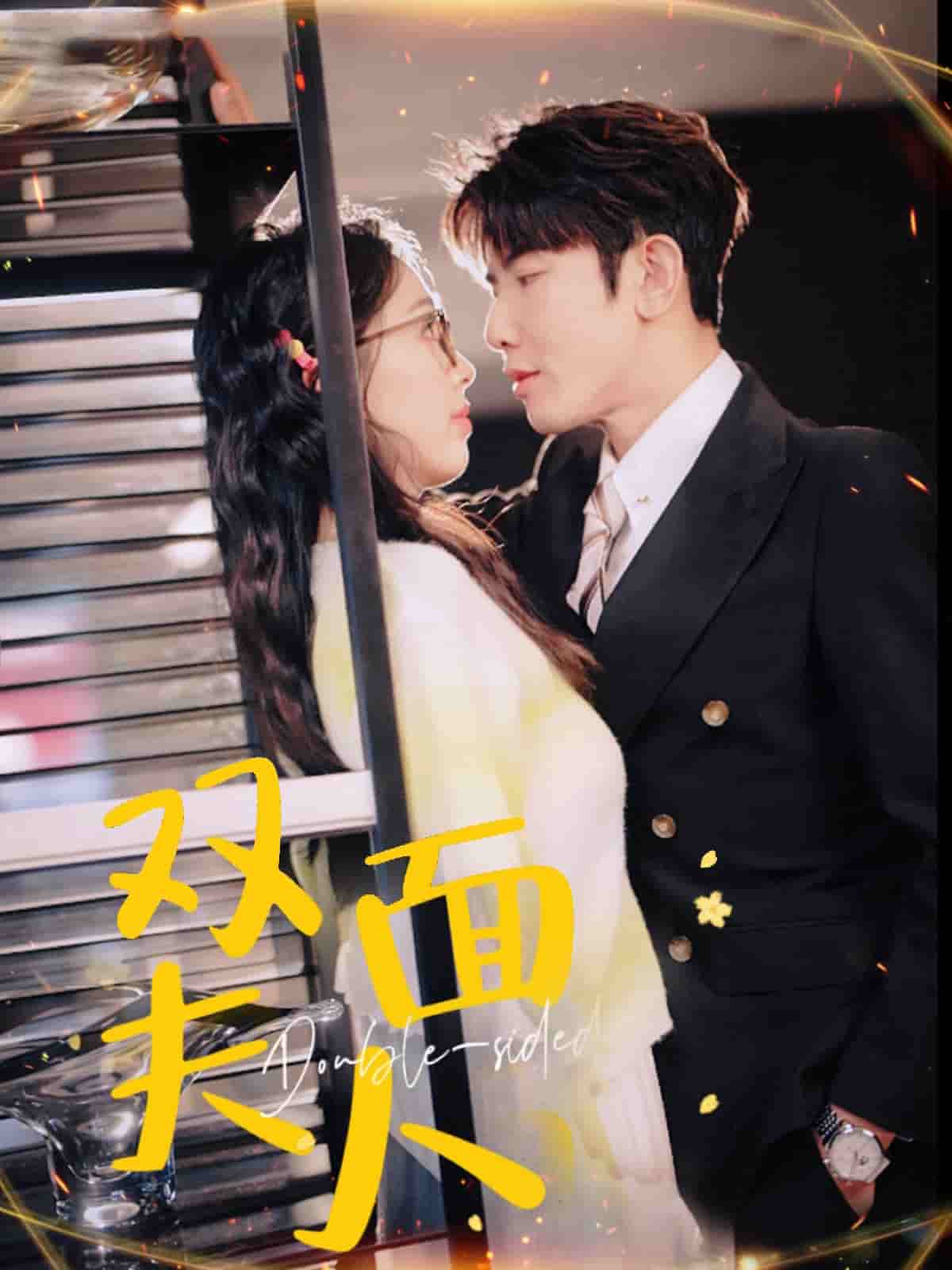 双面夫人封面图