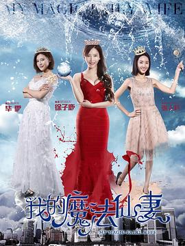 我的魔法仙妻封面图