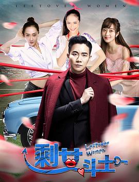 剩女斗士封面图