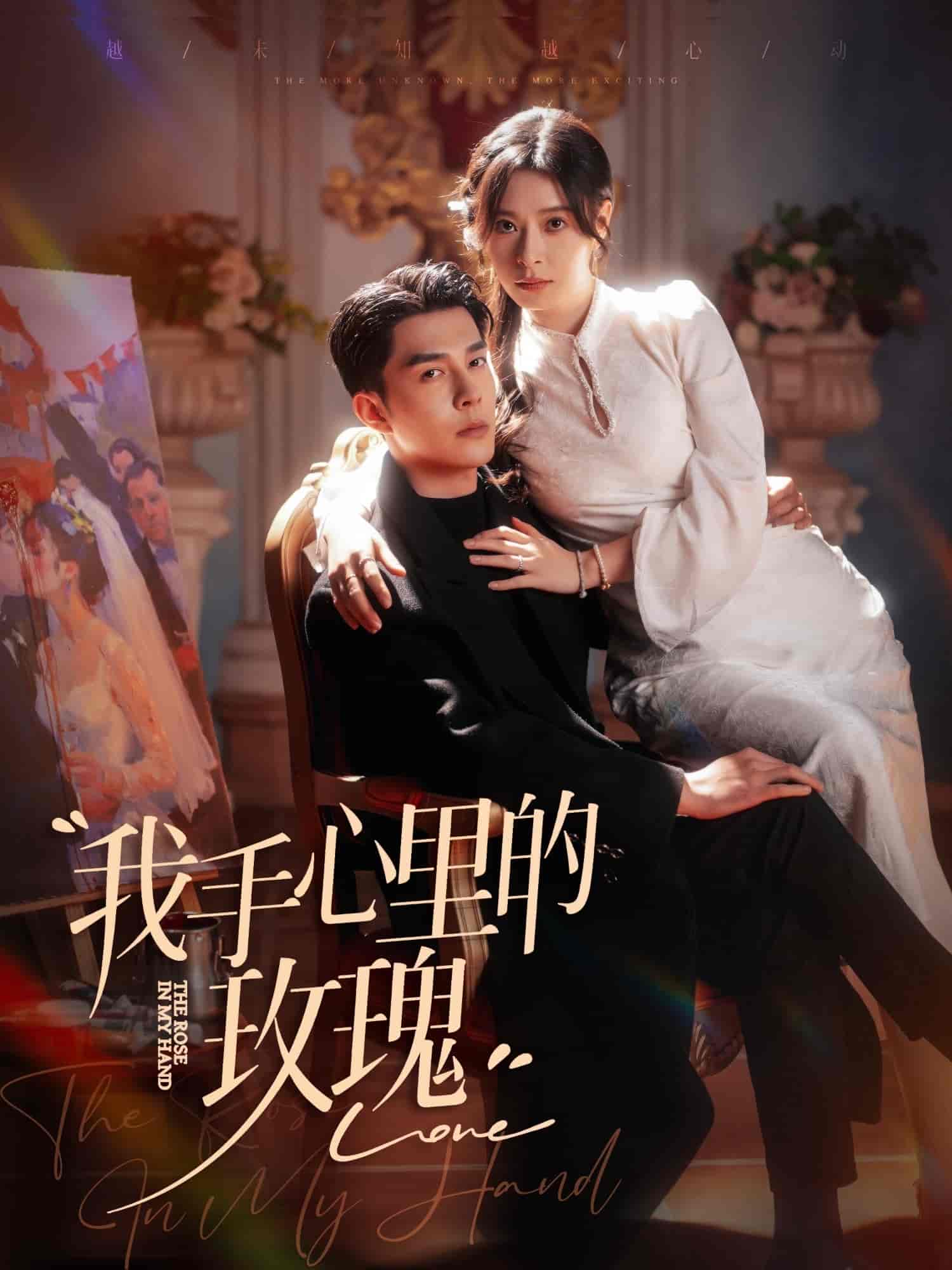 我手心里的玫瑰封面图