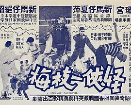 怪侠一枝梅封面图