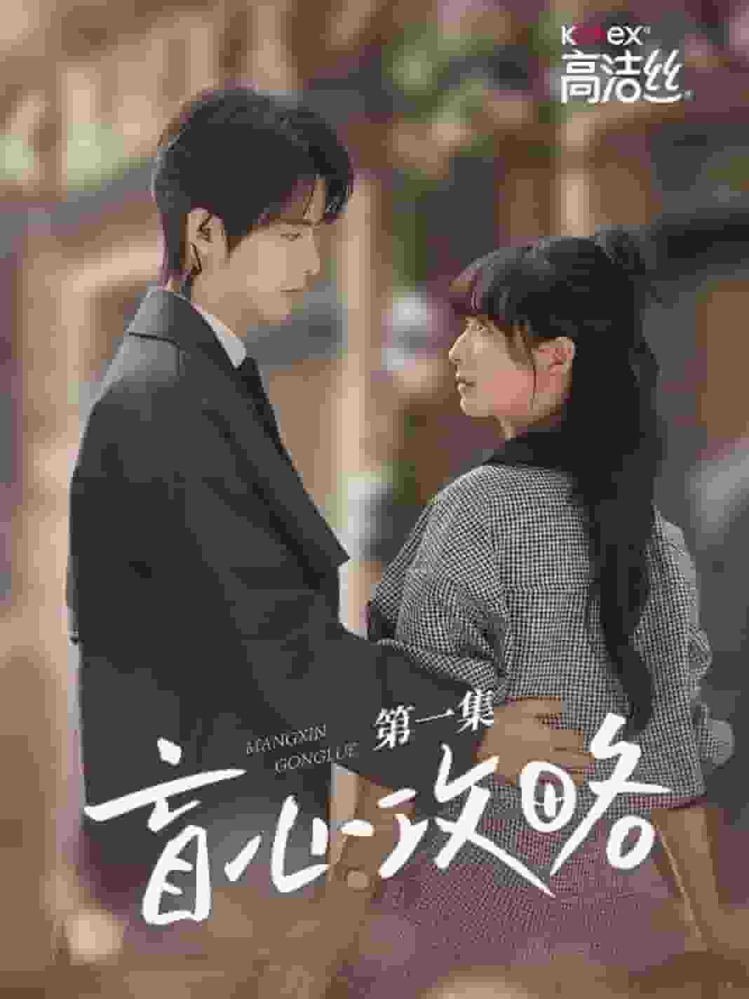 盲心攻略封面图