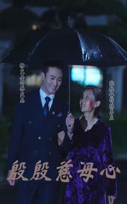 殷殷慈母心封面图