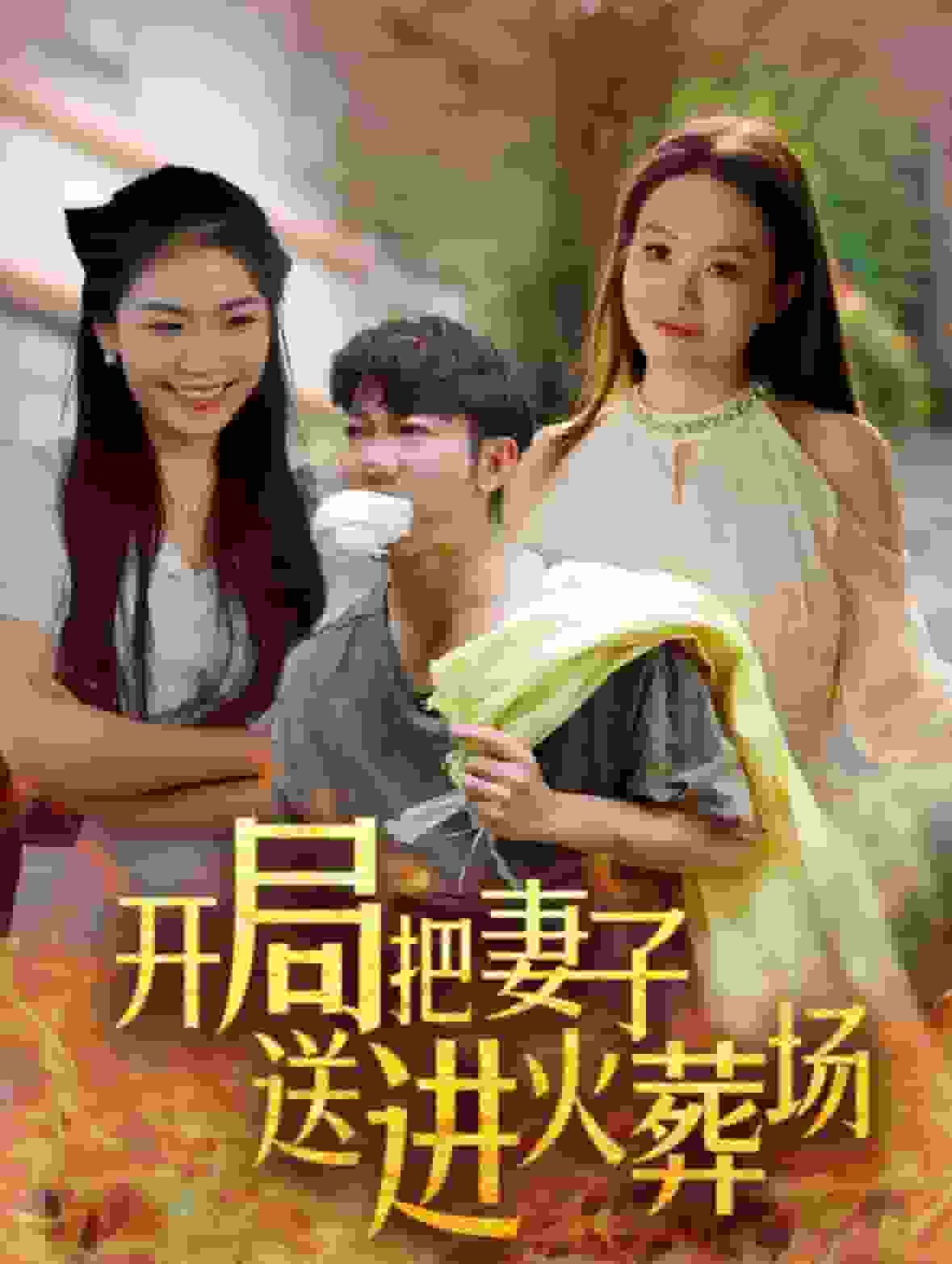 开局把妻子送进火葬场封面图