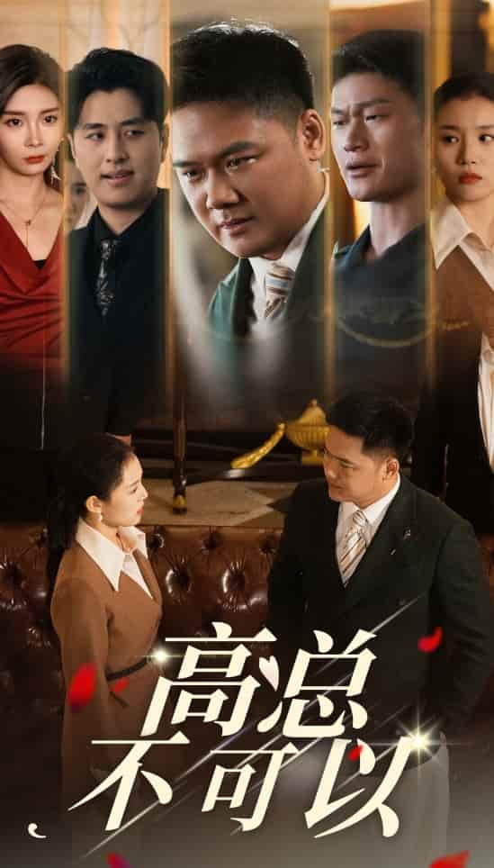 高总不可以封面图