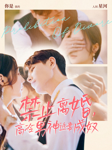 禁止离婚，高冷男神追妻成奴封面图