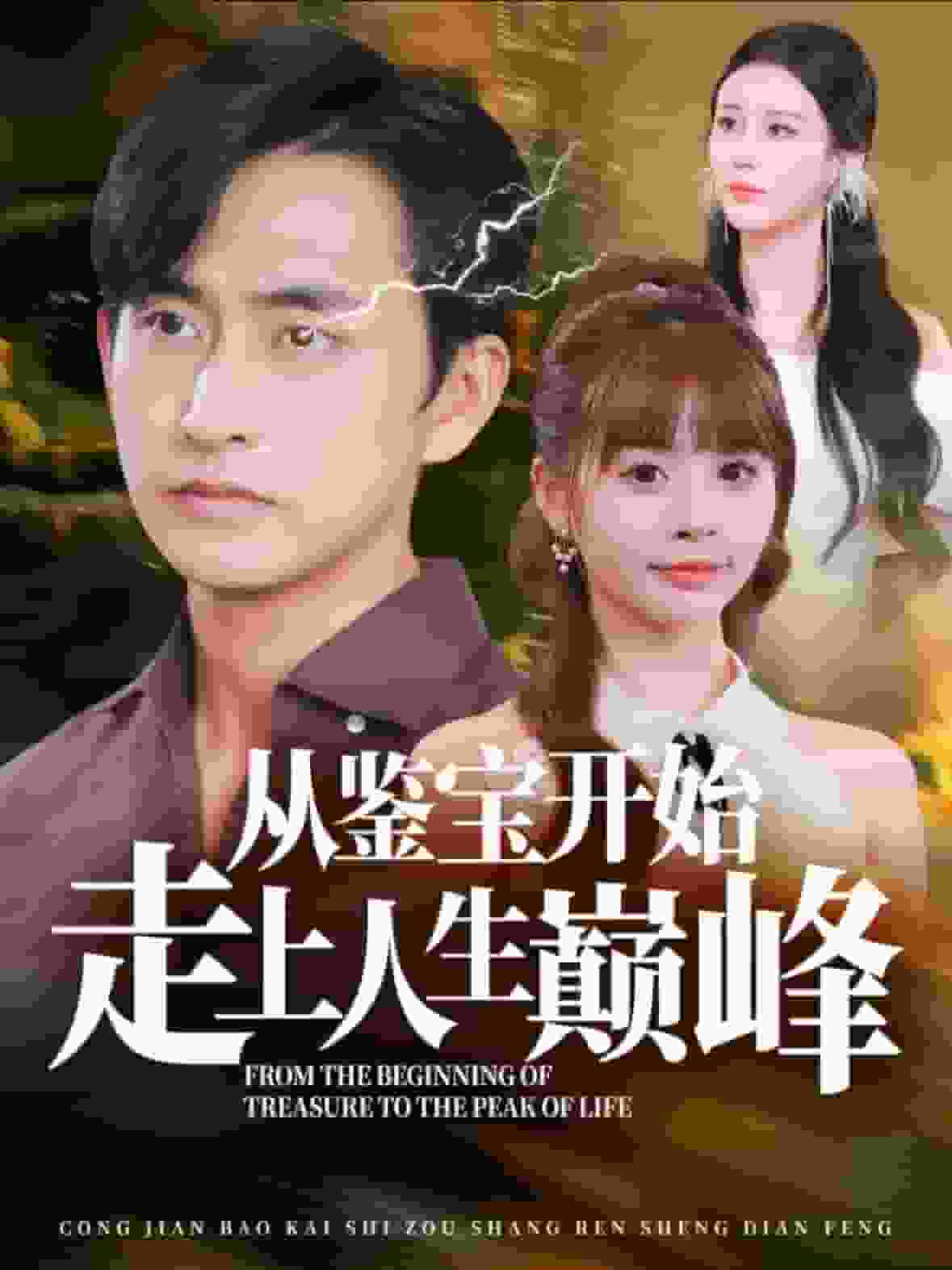 从鉴宝开始走上人生巅峰封面图