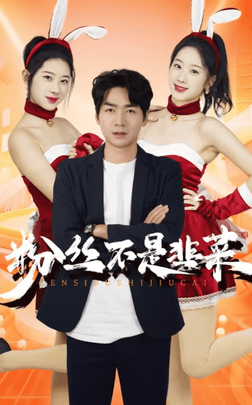 粉丝不是韭菜封面图