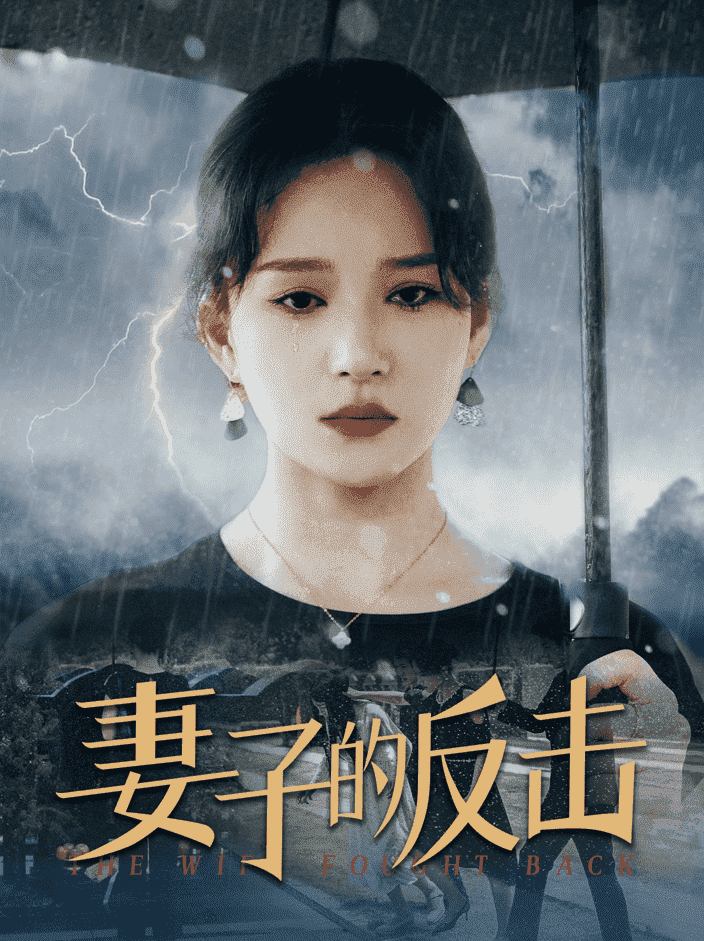 妻子的反击封面图