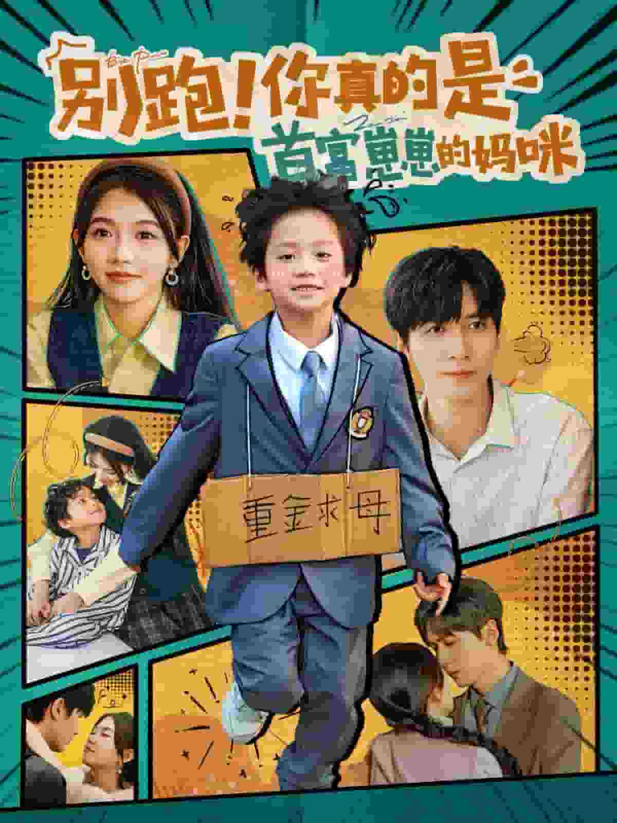 别跑你真的是首富崽崽的妈咪封面图