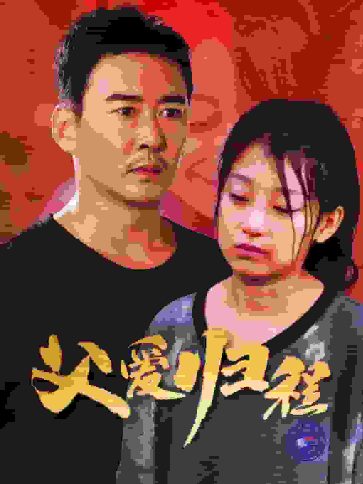 父爱归程封面图