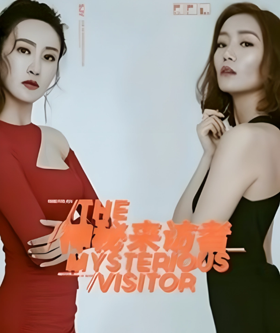 神秘来访者封面图