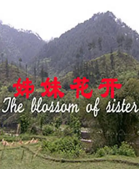姊妹花开封面图