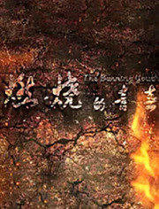 燃烧的青春封面图