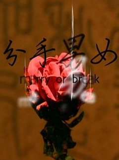 分手男女2008封面图