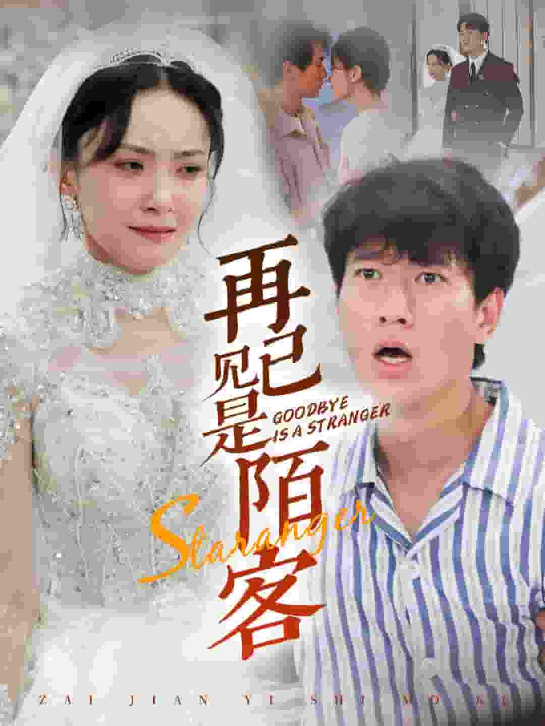 再见已是陌客封面图